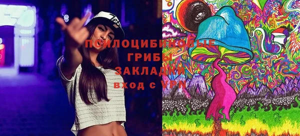 2c-b Баксан